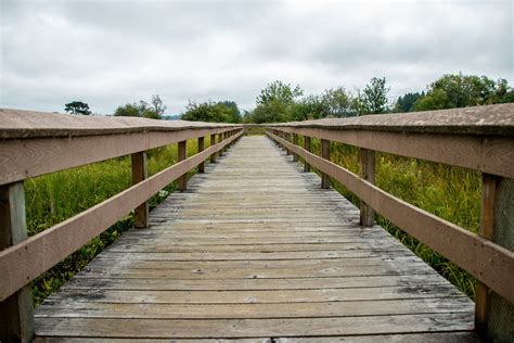 Free Stock Photo Of Boardwalk With Railings In Meadow