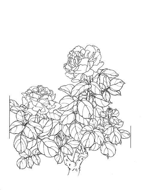 Free for commercial use no attribution required high quality images. Flower drawing png, Flower drawing png Transparent FREE ...