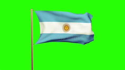 Bandera De La Argentina Que Agita En El Viento Pantalla Verde Metrajes Vídeo De Sucio Muestra
