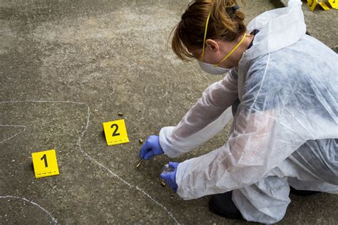 How To Become Crime Scene Investigator Infolearners