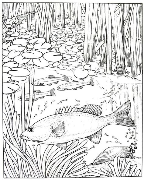 Fish Animal Coloring Book Page Printable Animal Coloring Books