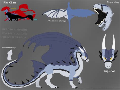 Reference Sheet New Dragon Oc Clean Version By Blackdragon Studios