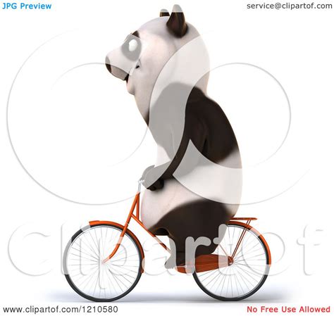 Clipart Of A Happy Panda Bear Riding A Bicycle 2 Royalty Free Cgi