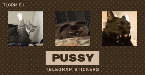 Pussy Stickers Set For Telegram