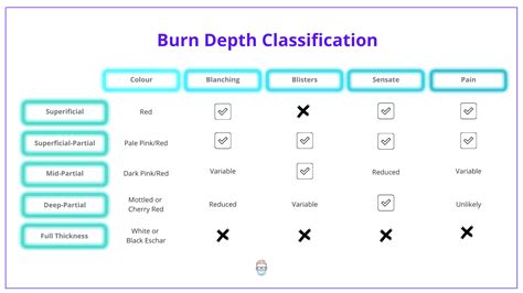Burn Depth Classification Assessment Characteristics