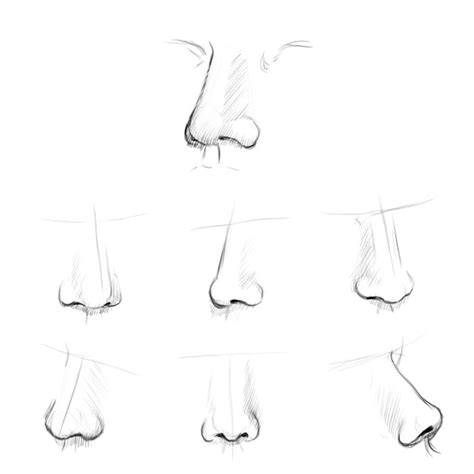 Anime is a popular animation and drawing style that originated in japan. 14 best images about Noses on Pinterest | Mouths, Sketching and Head shapes