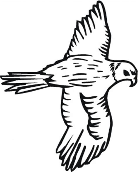Falcon Coloring Pages To Download And Print For Free