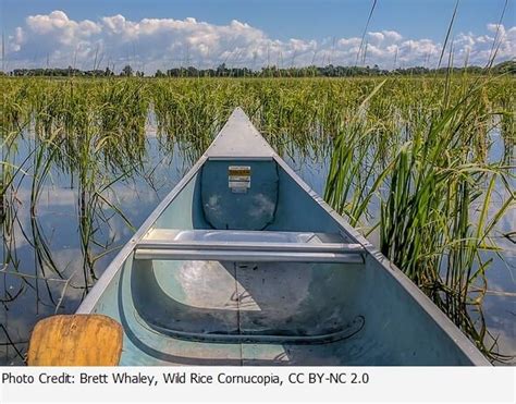 American Wetlands Month Webinar The Importance Of Wetlands To Tribal