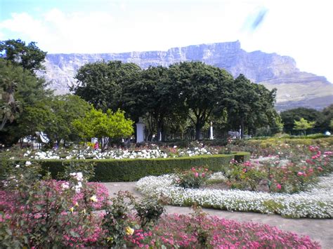 Companys Gardens Cape Town South Africa Travel Cape Town South