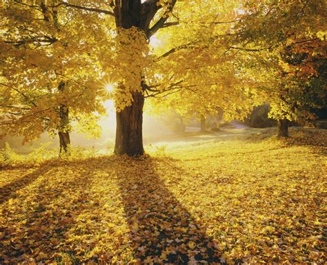 Fall Is Here! 12 Reasons To Celebrate | HuffPost