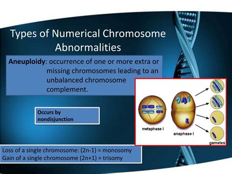 Ppt Numerical Chromosome Abnormalities Powerpoint Presentation Free