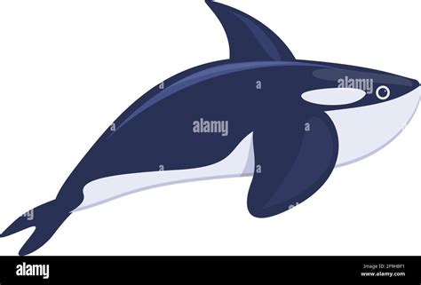 Killer Whale Icon Cartoon Of Killer Whale Vector Icon For Web Design