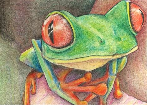 Frog Drawing By Tracy Fitzgerald