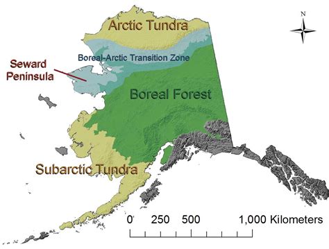 Tundra Map