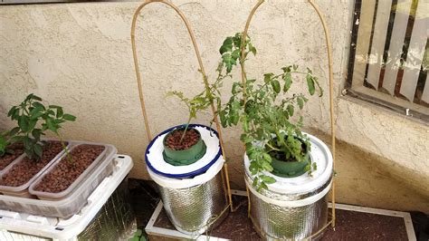 6 Atrium Grates For 5 Gallon Bucket Kratky Tomatoes Hydroponics