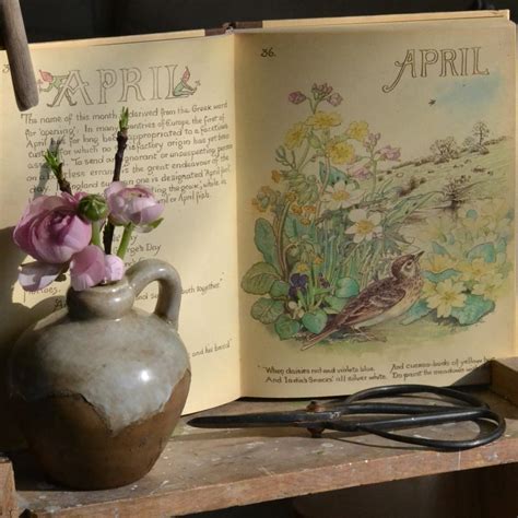 The Country Diary Of An Edwardian Lady The Reed Warbler Shop
