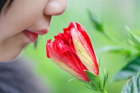 Sense Of Smell May Be Capable Of Picking Up 1 Trillion 