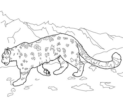 Rosalie ∞ teaching ideas ✐ animals adult. Snow Leopard coloring page | Free Printable Coloring Pages