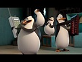 Los Pingüinos de Madagascar capitulos completos Serie Animada - YouTube