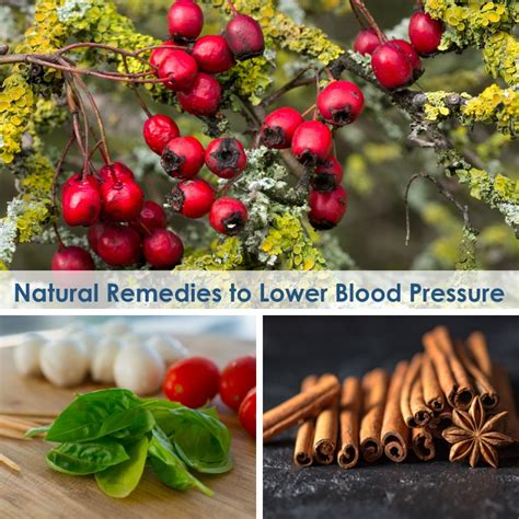 Natural Remedies To Lower Blood Pressure Cardiovascular Medicine Ne