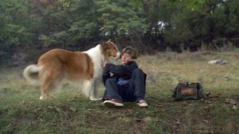Lassie 1994 Mubi