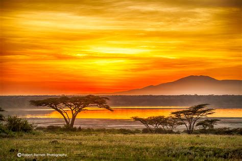 Serengeti Sunrise Serengeti Sunrise Near Ndutu Tanzania Flickr