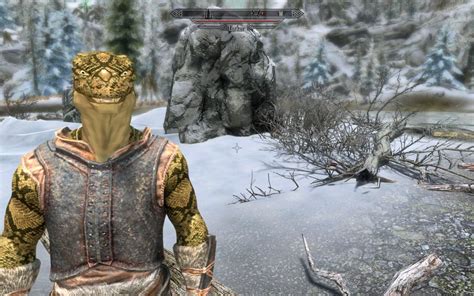 Finally Found A Mod That Made Argonians More Snake Like Skyrim