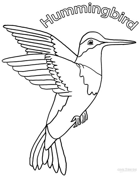 Printable Hummingbird Coloring Pages For Kids Cool2bkids
