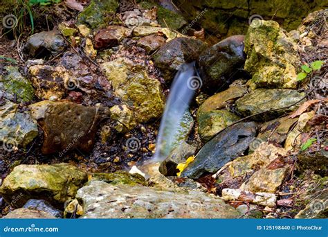 The Spring In A Forest Ravine Striking From Under The Rocks Stock Photo
