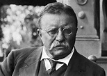 A Review of "Theodore Roosevelt: A Biography" by Henry F. Pringle ...