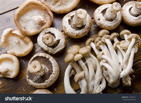 Different Types Edible Mushrooms On Wooden Stock Photo 175059617 Shutterstock