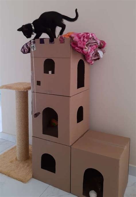 Casa Para Gatos Diy Cat Toys Diy Cat Tree Cat Tree House