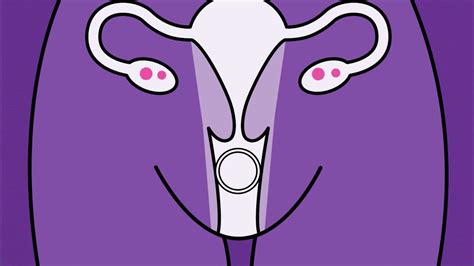 Brook Contraception Vaginal Ring Animation Youtube