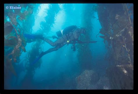 √ Bishop Rock Cortes Bank Underwater Cachos E Outras Ondas