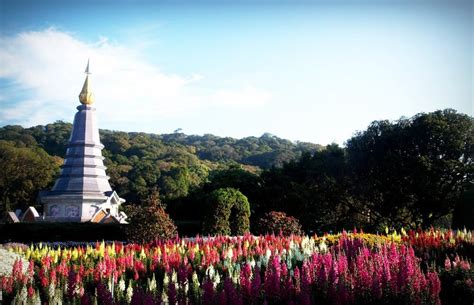 Chiang Mai Travel Guide All You Need To Know Travelpeppy