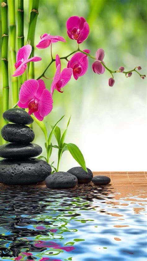 relaxing spa wallpapers top free relaxing spa backgrounds wallpaperaccess