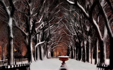 Central Park Winter Scenes Wallpapers Wallpaper Cave