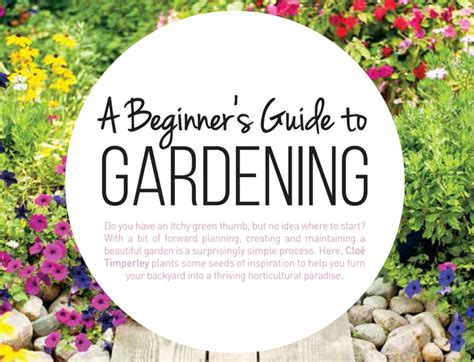 A Beginners Guide To Gardening Queensland Home Design And Living