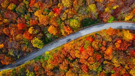 Which Fall Foliage Road Trip Is Right For You Milwaukee Magazine