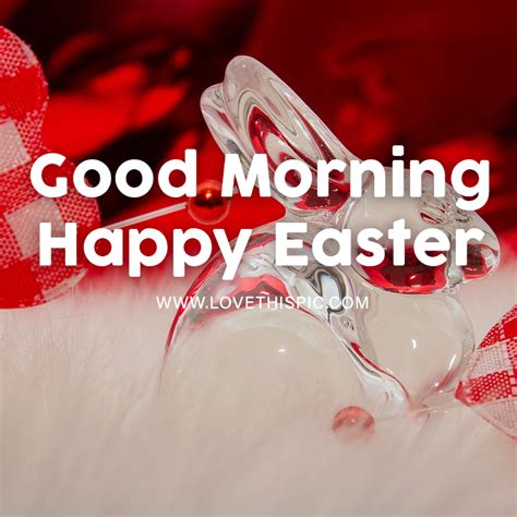 Clear Bunny Good Morning Happy Easter Pictures Photos And Images