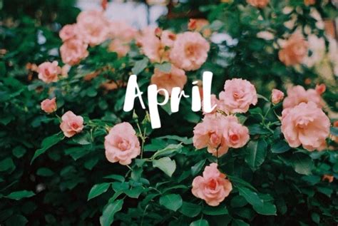 Hello April On Tumblr