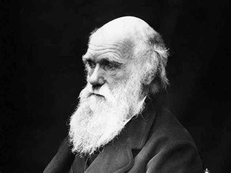A Perigosa Ideia De Darwin