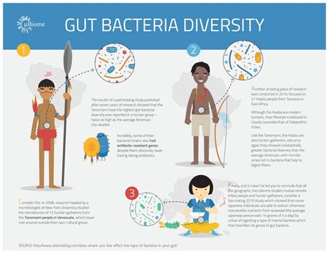 Gut Bacteria Diversity Ubiome Gut Flora Gut Bacteria Modem East