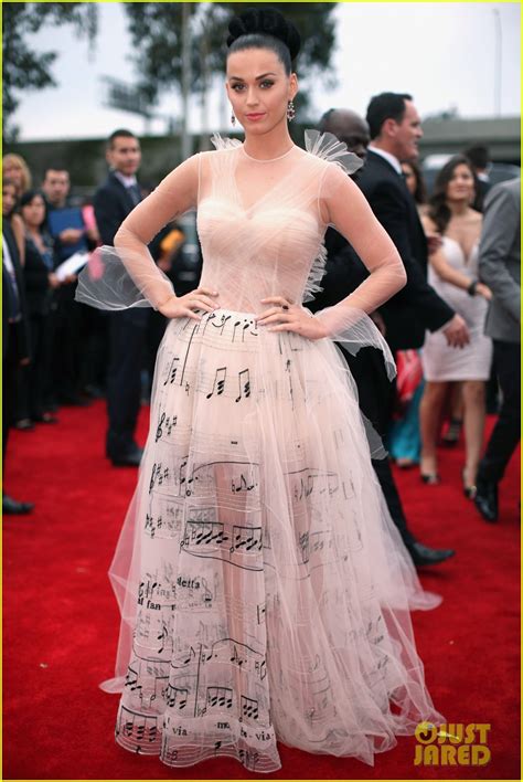 Katy Perry Grammys 2014 Red Carpet Photo 3041051 David Hudson