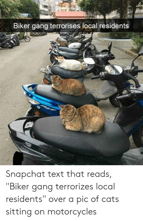 Biker Gang Terrorises Local Residents Snapchat Text That Reads Biker