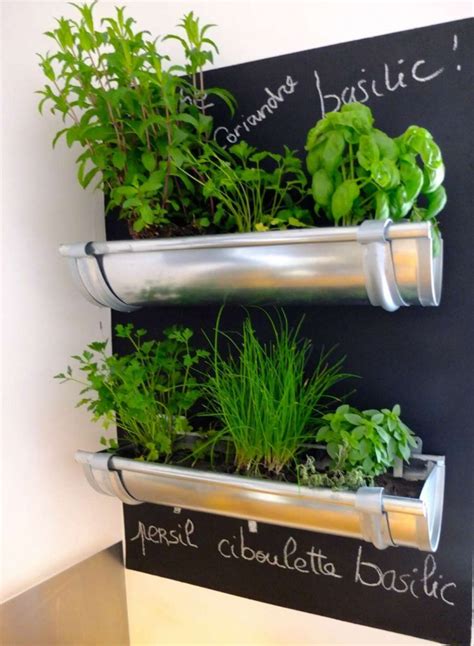 10 Amazing Indoor Kitchen Herb Gardens