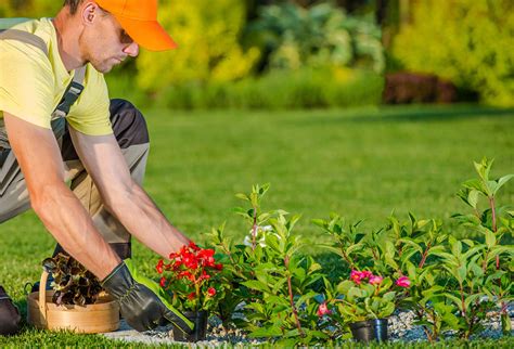 Dependable Landscaping Contractor In San Diego Ca 92114