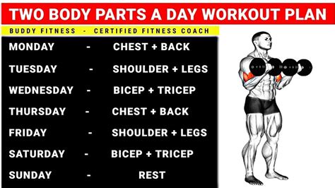 Two Body Parts A Day Workout Plan Full Week Workout Plan At Gym Youtube