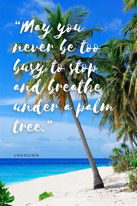 Tropical Paradise Tropical Beach Tropical Quotes Palm Tree Quotes