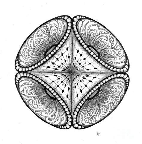 21 4 Pt Symmetry Drawing By Jeanne Donovan
